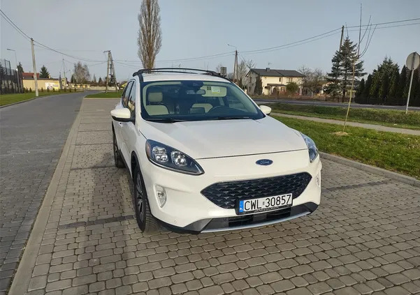 czeladź Ford Kuga cena 105000 przebieg: 105000, rok produkcji 2020 z Czeladź